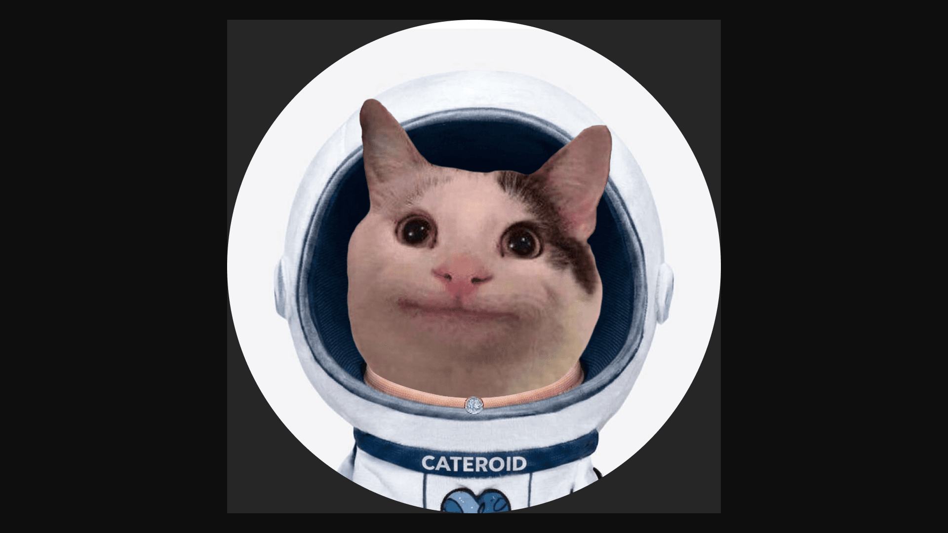 CATEROID