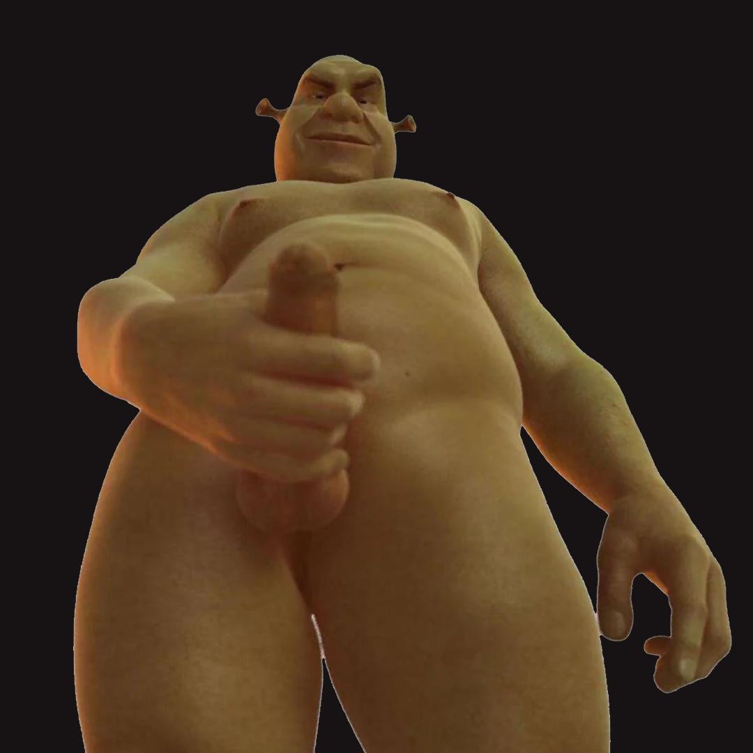 ERECTUS