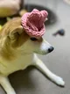 SIF