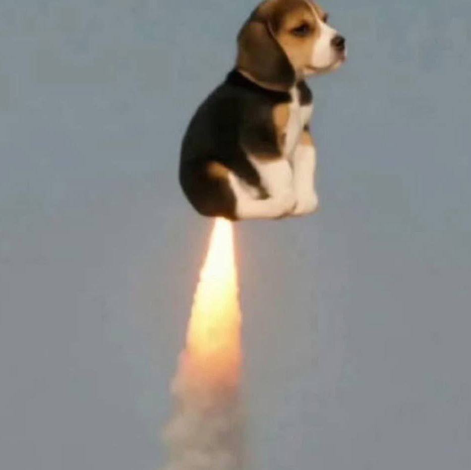 A Super Dog Flying Hero