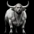 The Bald Bull 钱包