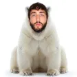 Portafoglio The White Bear