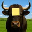 BULLPOST-Wallet