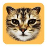 #CAT