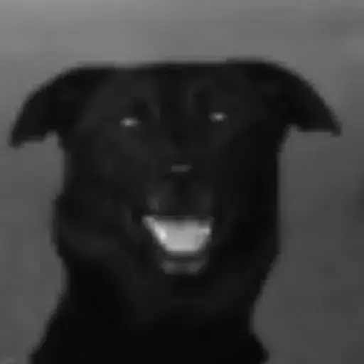 Justice For Goldie 钱包