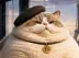 Chaton