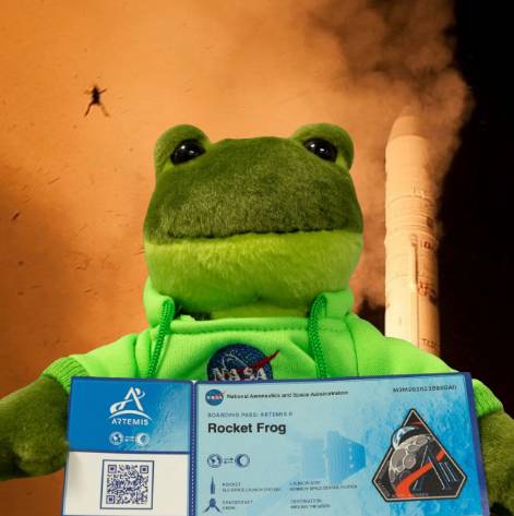 Rocket Frog 钱包