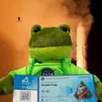 Rocket Frog Wallet