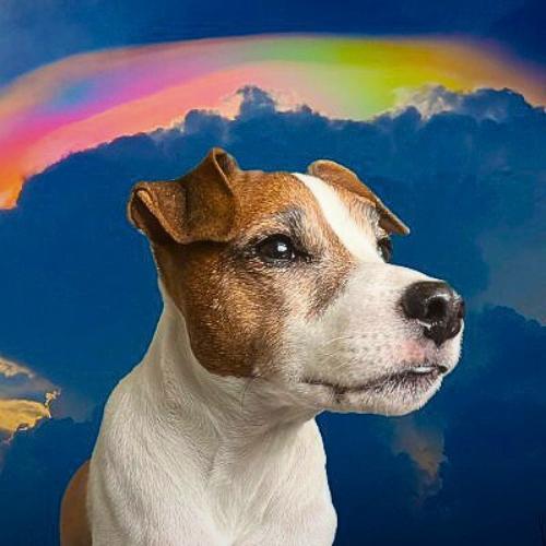 ADOPT