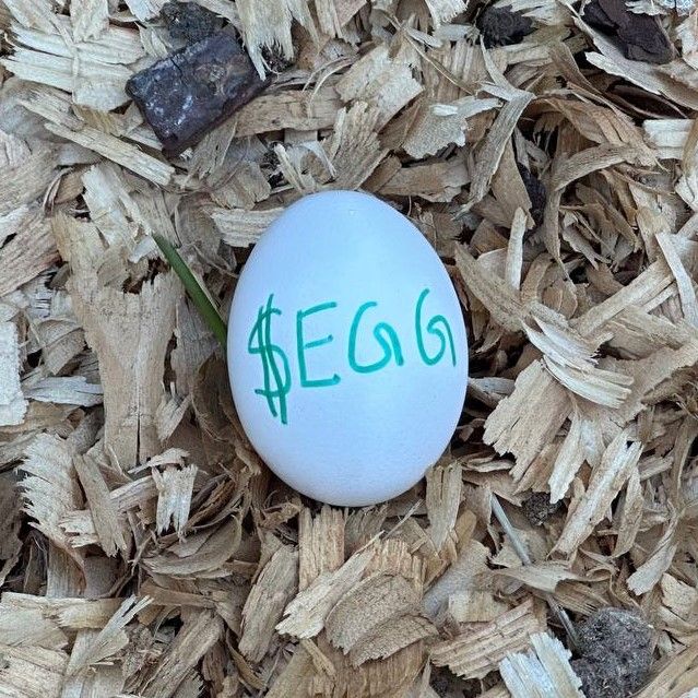EGG