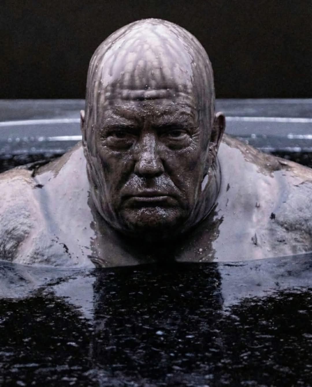 TOMF token on Solana