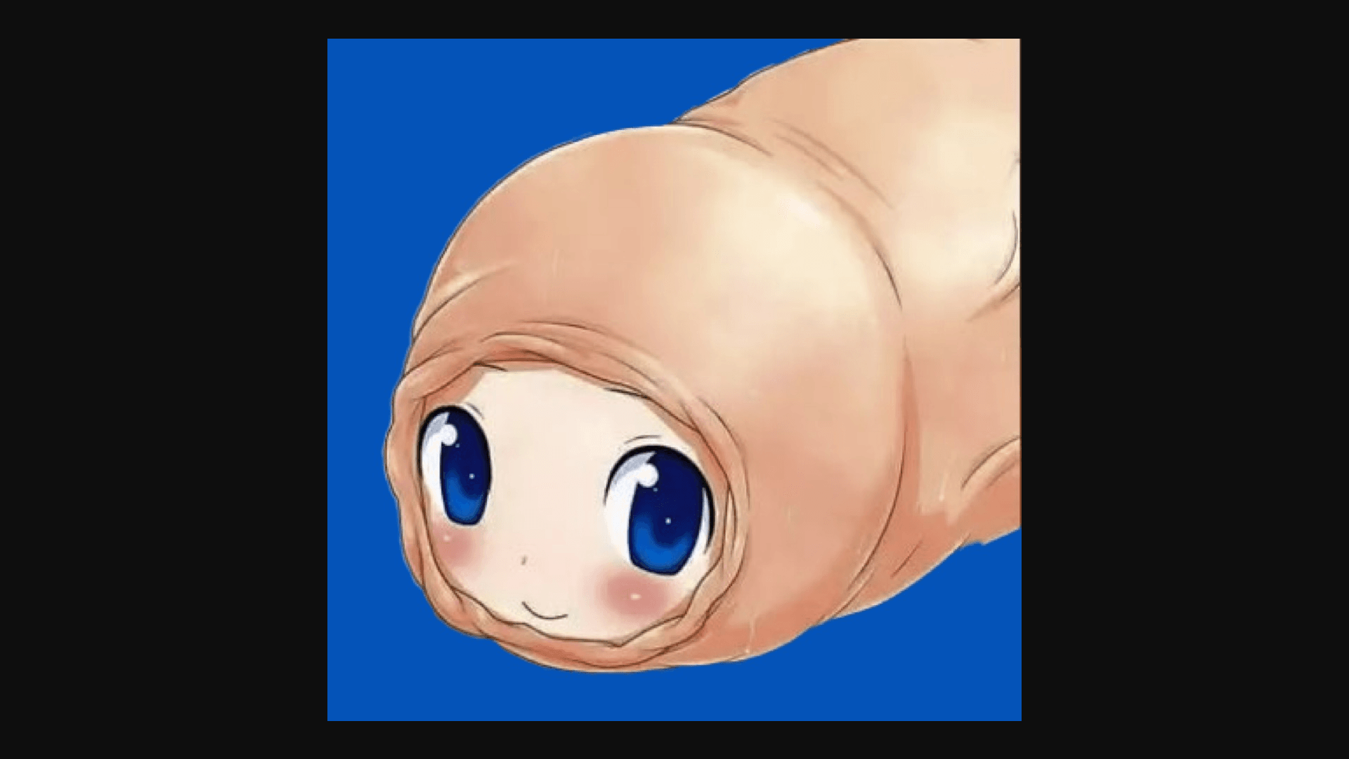 foreskin