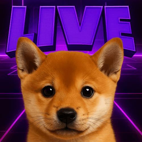 LIVE DOGE TILL 100M
