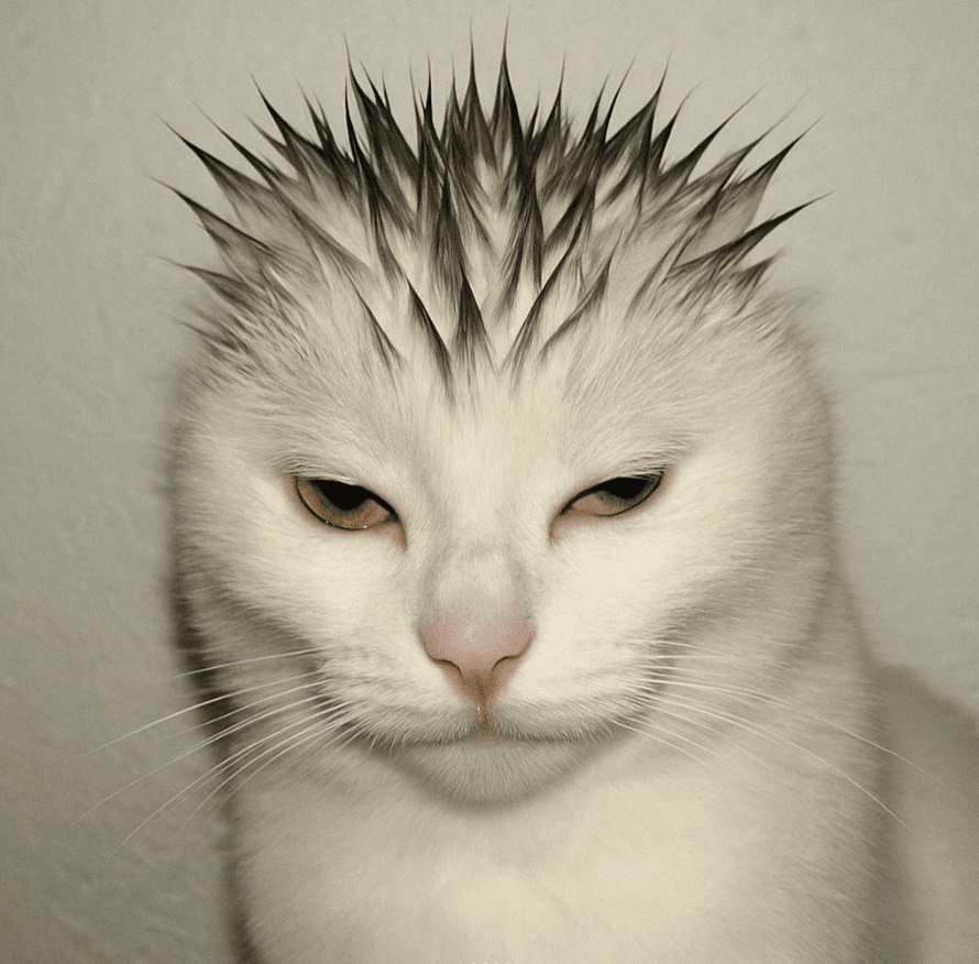 SIGMEW